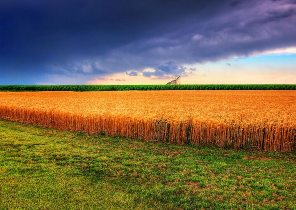 #14. Kansas